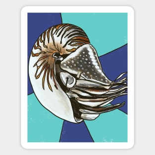 Nautilus Sticker